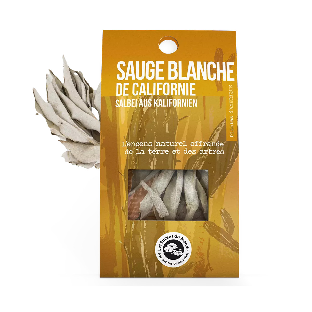 Aromandise Witte salie vlecht Californië 13cm