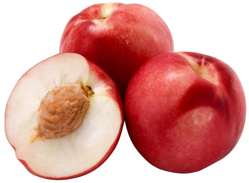 Nectarine wit FR 4,2KG BIO