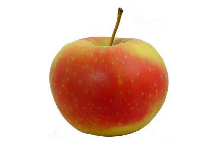 Appel Collina BE 11KG BIO