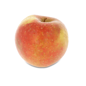 Pomme Sissired BE 11KG BIO