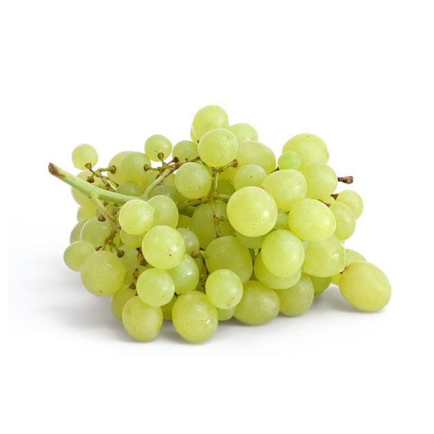 Raisin Blanc Italia IT 6KG BIO