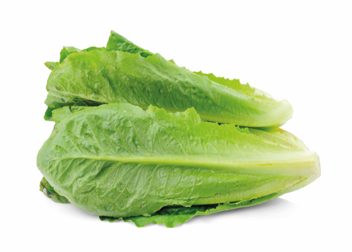 Laitue Romaine BE 8PC BIO