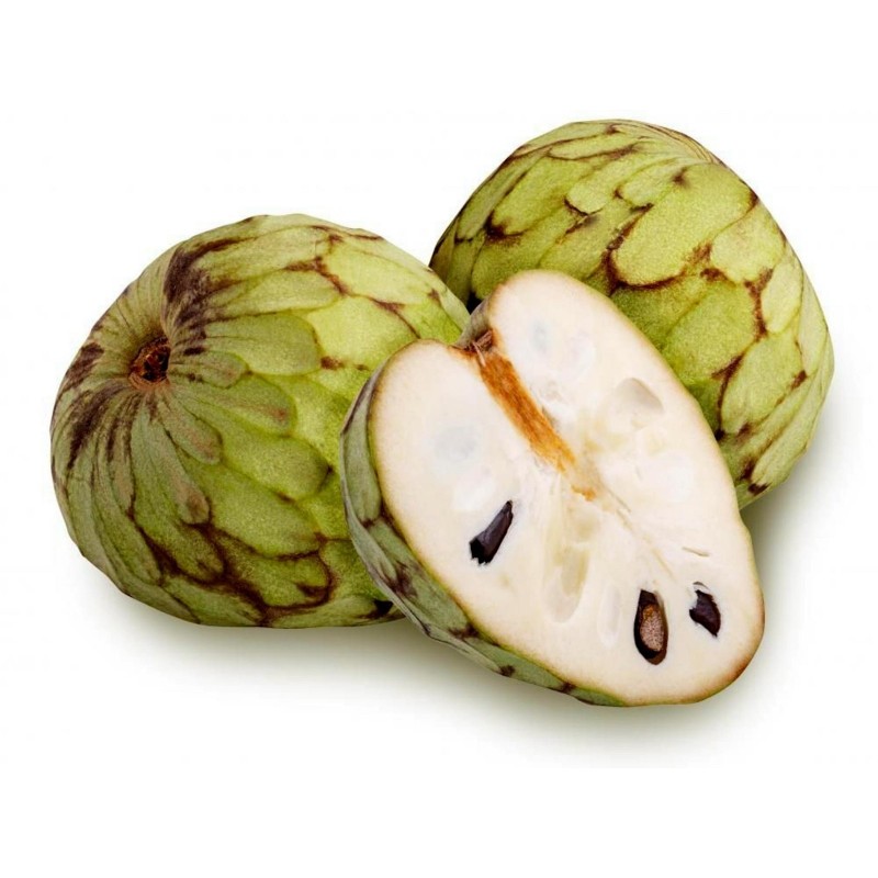 Annona Cherimoya ESP 1COLIS BIO