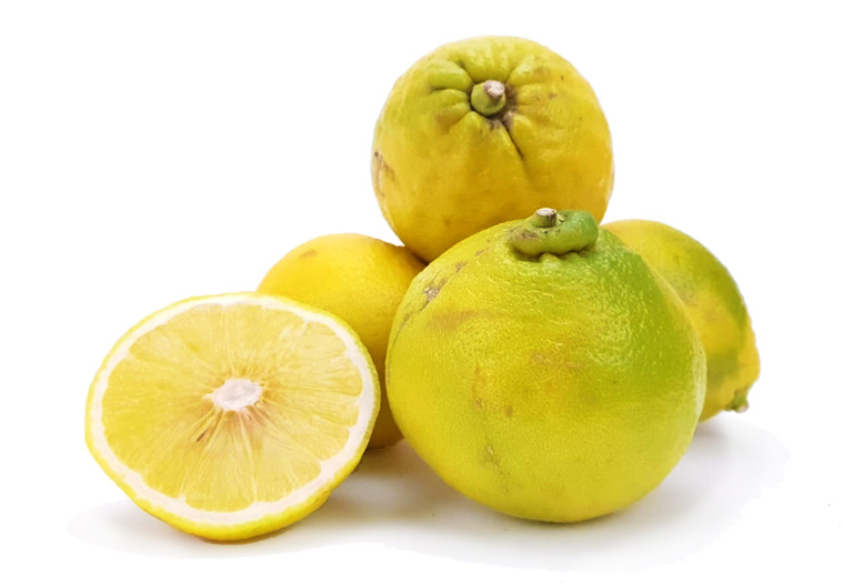 Citron Bergamote IT 8KG BIO