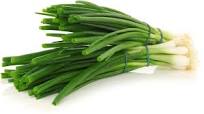 Bieslook Grof BE 12ST BIO