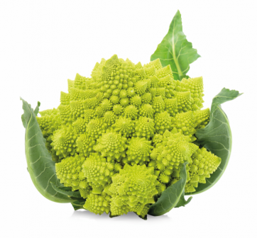 Kool Romanesco FR 8ST BIO