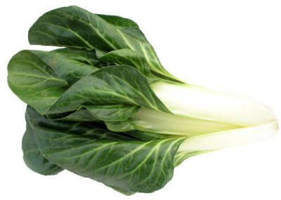 Biet Groen IT 7KG BIO