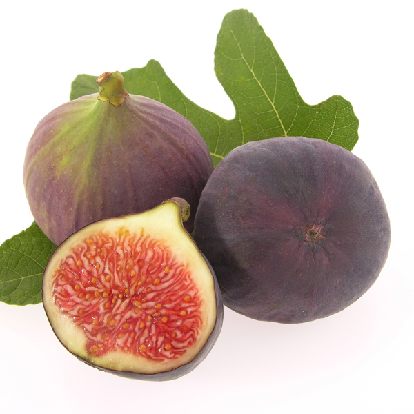 Selder Groen BE 10ST BIO