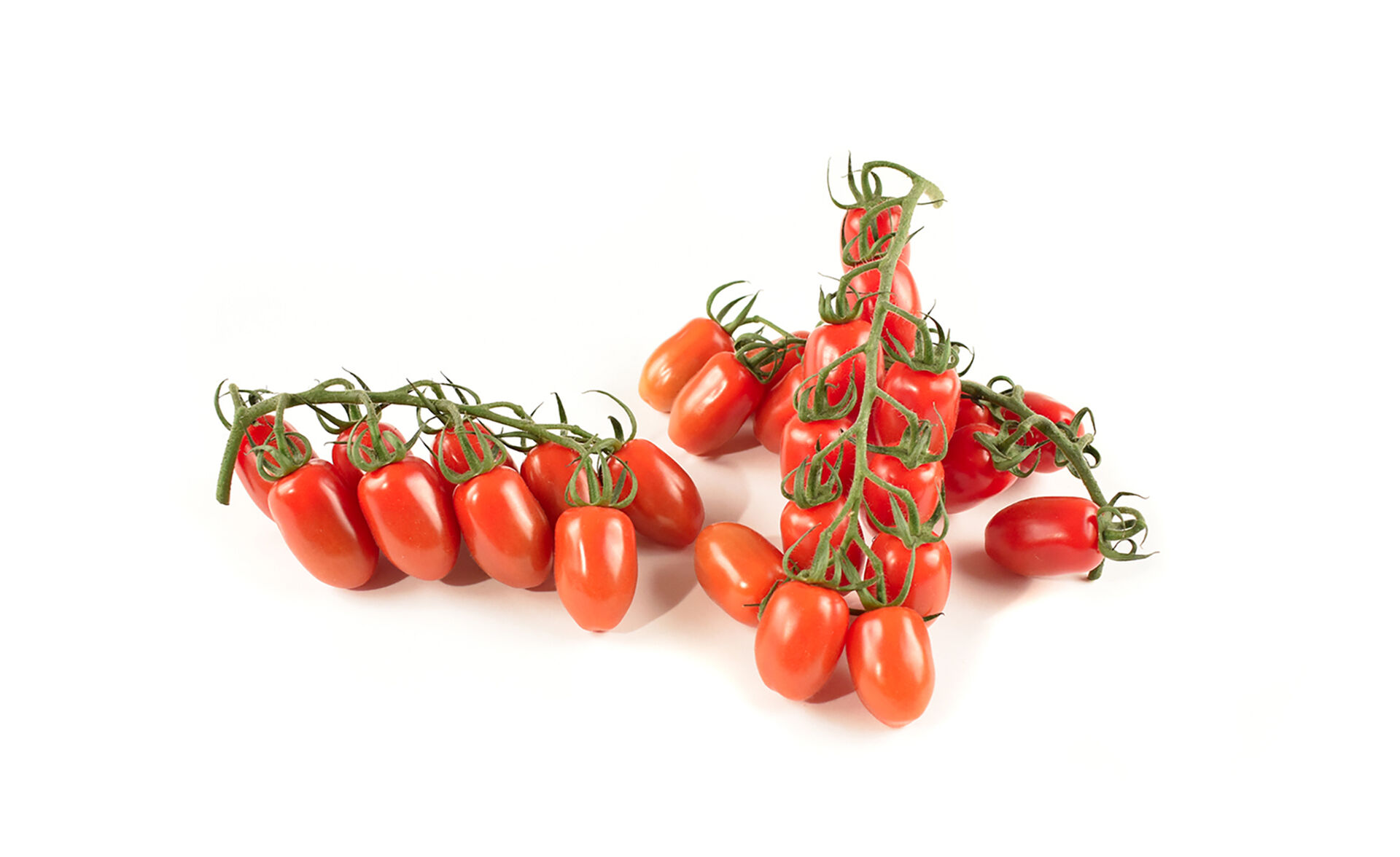 Tomate mini san marzano BE 3KG BIO