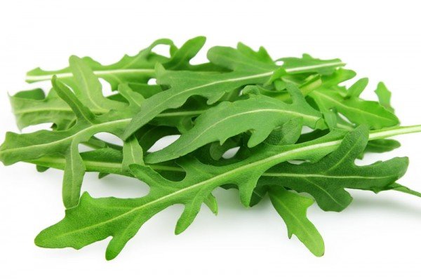 Rucola FR 1KG BIO