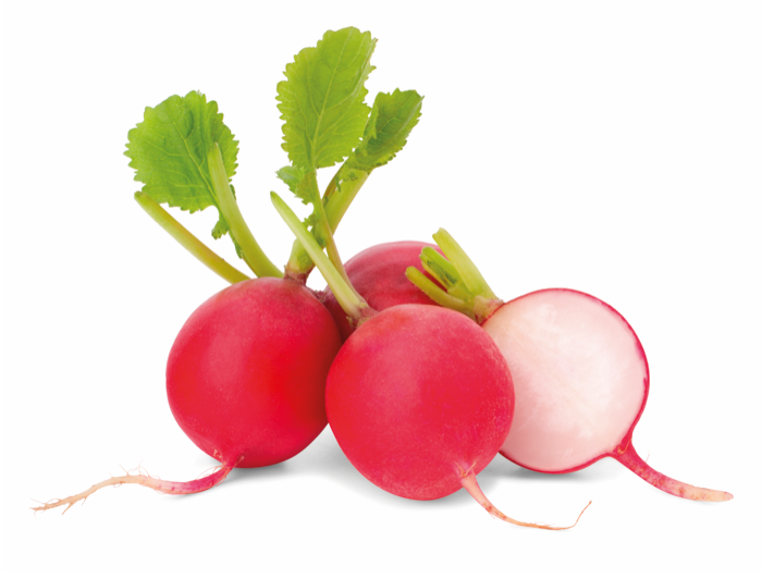 Echalote ronde nouvelle récolte NL 5KG CAT1 BIO