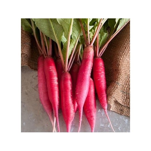 Oignon Rouge nouvelle récolte BE 15KG CAT1 BIO