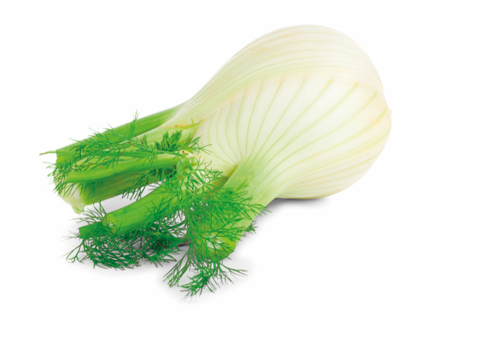 Venkel 5 Kg IT 5KG BIO