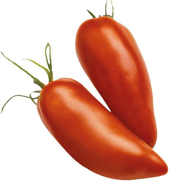 Tomaat Ancienne Cornue des Andes 4KG BIO