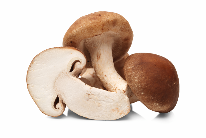 Champignon Maitake Vrac BE 1,5KG BIO