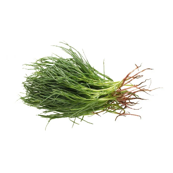 Agretti Bussel IT 10ST BIO