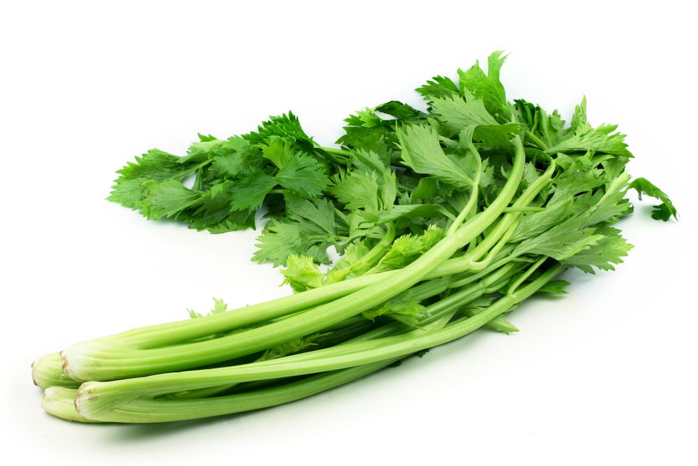 Céleri Vert coupé 10pcs ES 10ST BIO