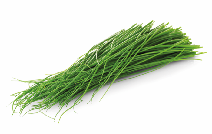 Lente-ui BE 10ST BIO