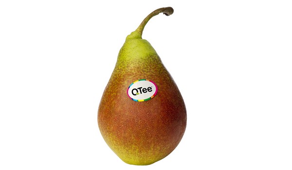 Poire Q-Tee BE 13KG BIO