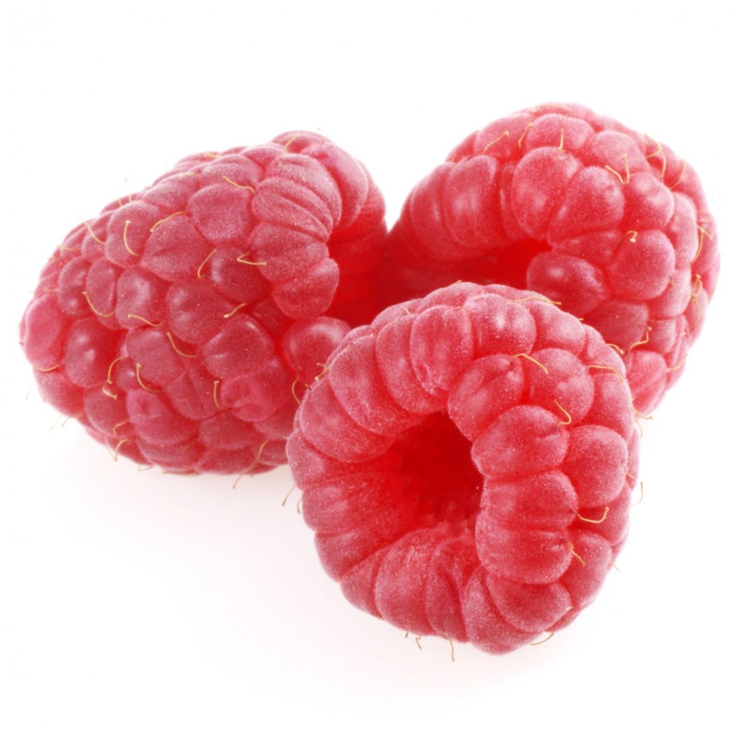 Framboos bakje 8x125g TBE 8ST BIO