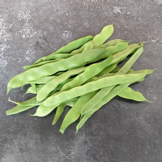 Haricot Vert Plat BE 3KG BIO