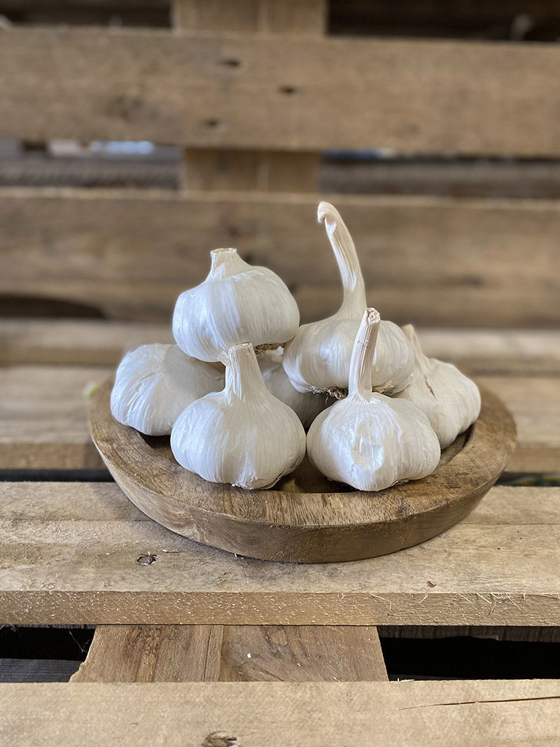 Knoflook gedroogd BE 5KG BIO