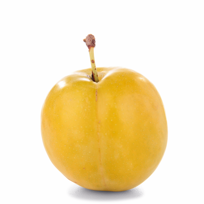 Pruim Mirabelle BE 3KG BIO