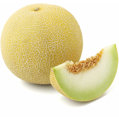 Melon Galia 8pc ES 5KG BIO