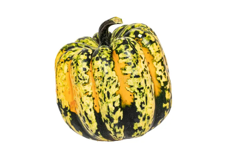 Pompoen Festival BE 4KG BIO