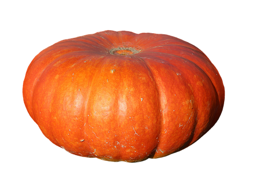 Potiron Halloween BE 10KG CAT1 BIO