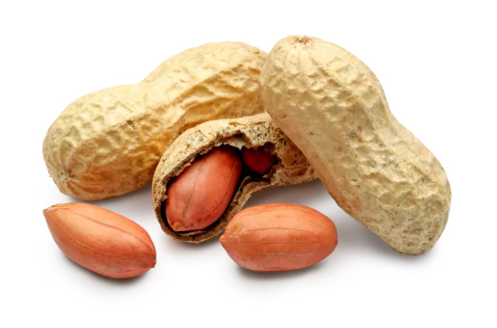 Pinda in dop zakje 250g 6ST BIO