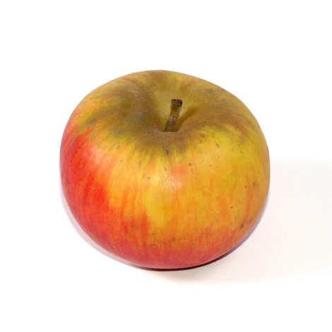 Appel Reinette de France (verger Haute-tige) TBE 11KG BIO