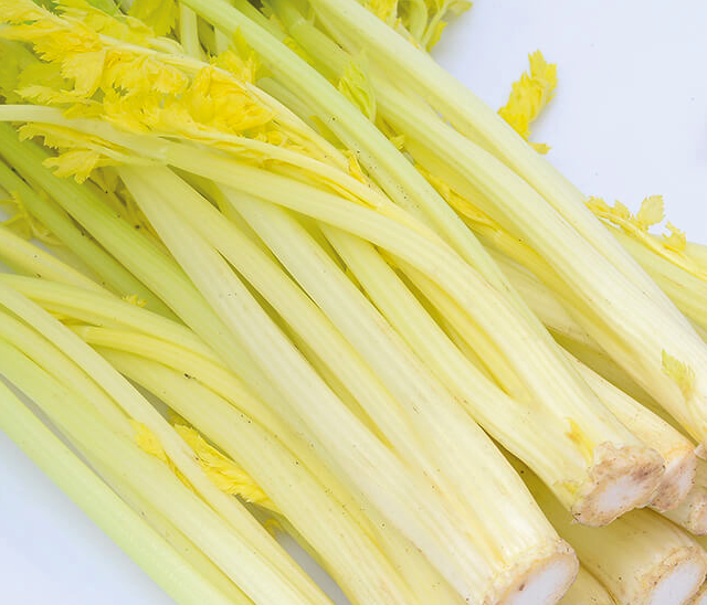 Céleri Blanc 10ST BIO