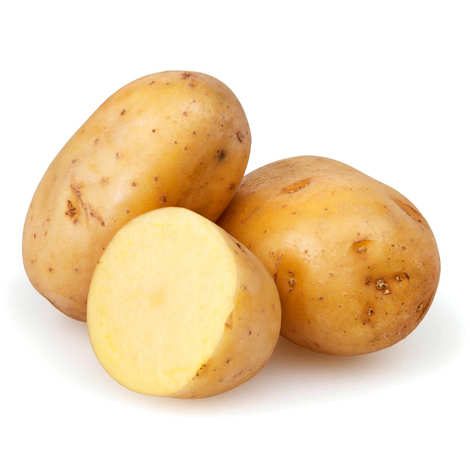 PDT "Ile de Batz" FR Nouvelle récolte 5KG BIO