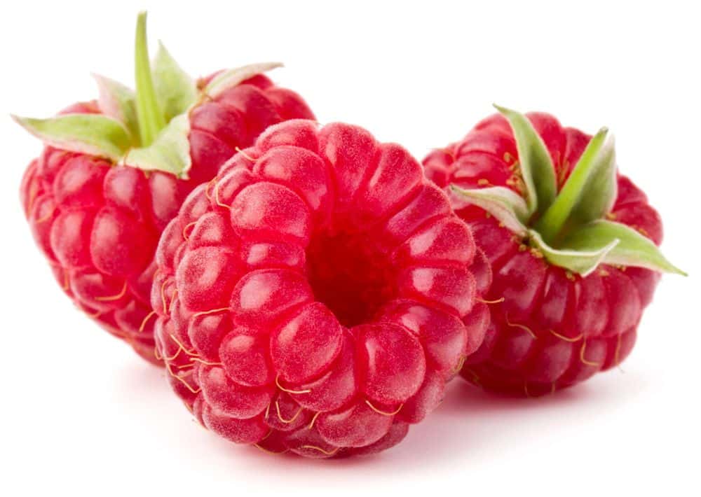 Cassis ravier de 150gr BE LIMITE 8ST BIO