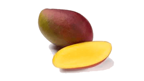 Mangue Keitt 9pc BR 9ST BIO