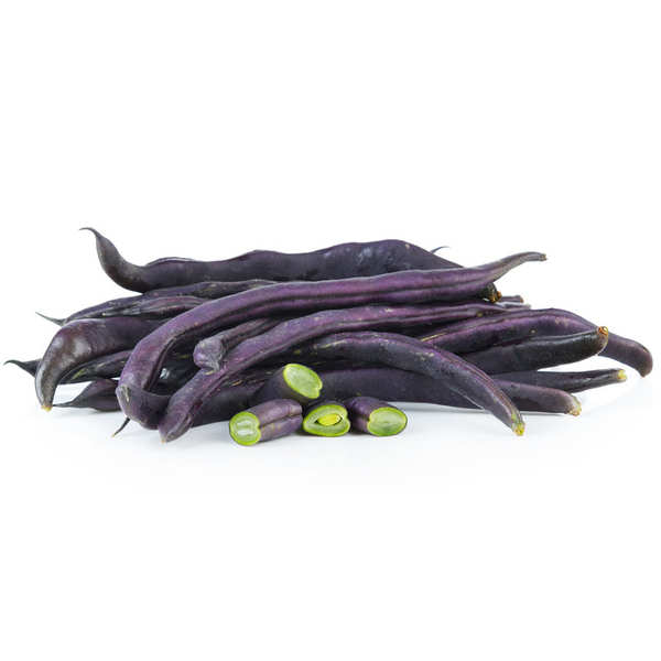 Haricot Plat mauve BE 3KG BIO
