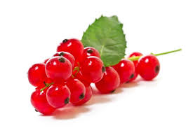 Groseille Rouge ravier de 125g BE 6ST BIO