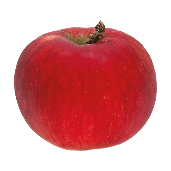 Pomme Akane FR 13KG CAT1 BIO