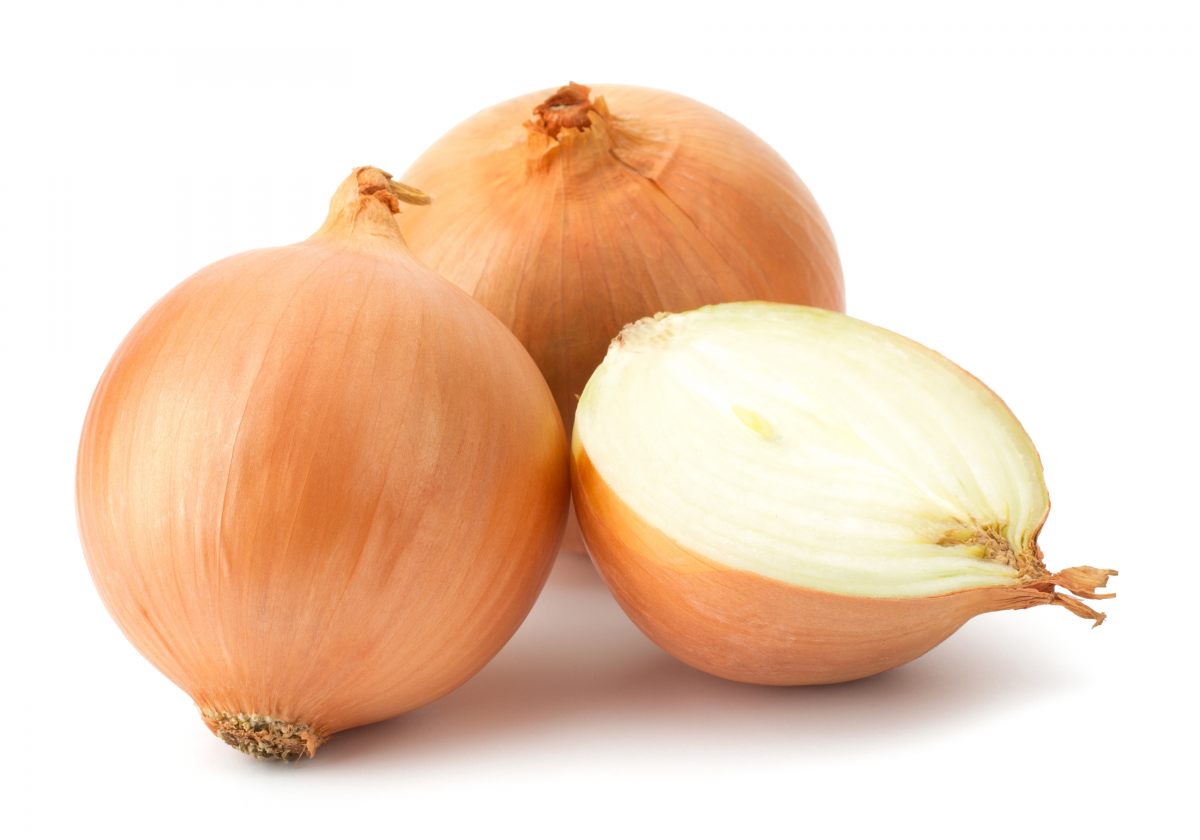 Rode biet Nieuwe oogst! BE 5KG BIO