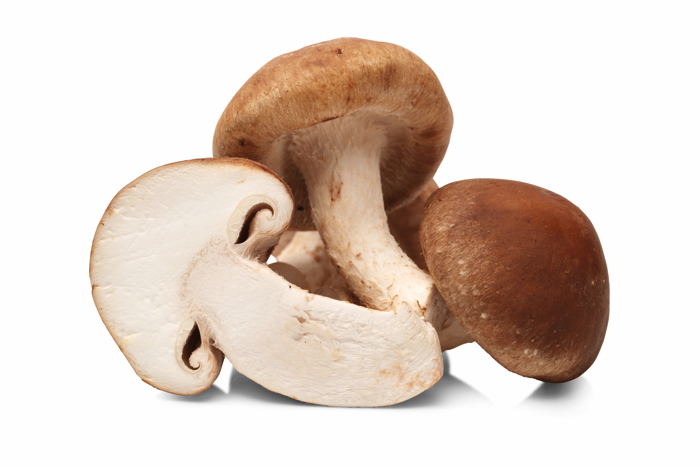 Champignons Shi-take 500gr BE 1ST BIO