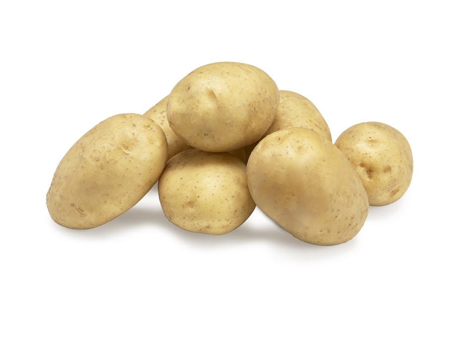 Aardappel Twinner Nieuw! BE 15KG BIO