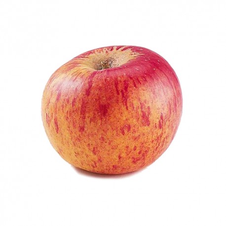 Pomme Reine des Reinettes FR 13KG BIO