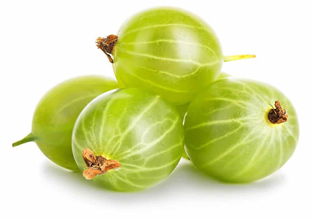 Kruisbes BE 6ST BIO