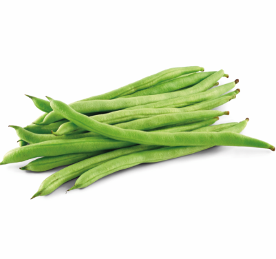 Haricot vert NL 4KG BIO