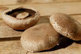 Champignons Portabella BE 1,5KG BIO