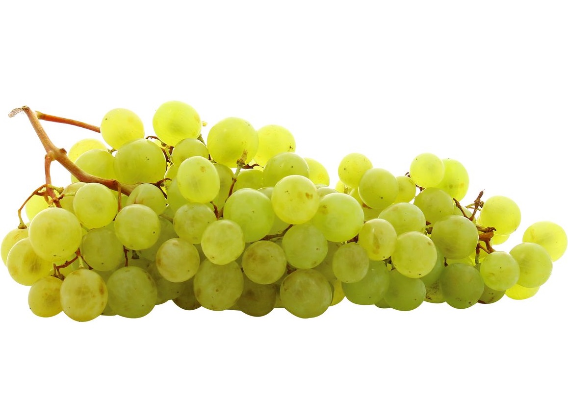 Raisin Blanc Danlas FR 8KG CAT1 BIO