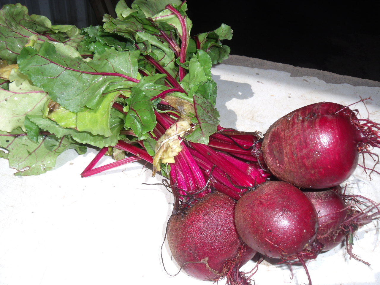 Navet violet en botte BE 10ST BIO