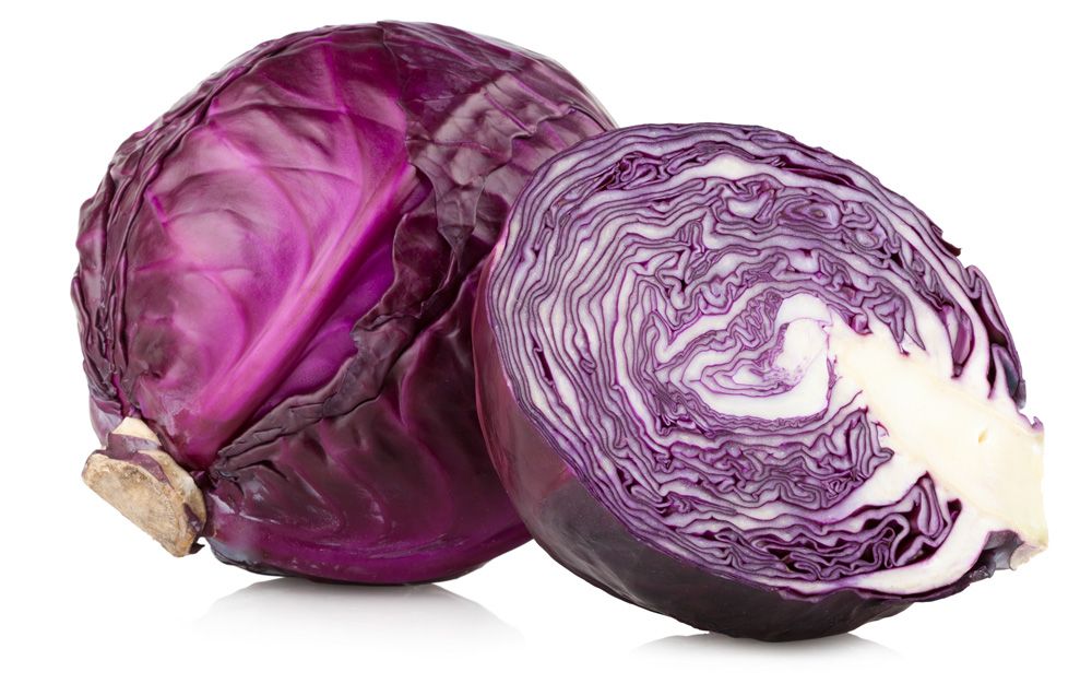 Rode kool NL 6ST CAT1 BIO