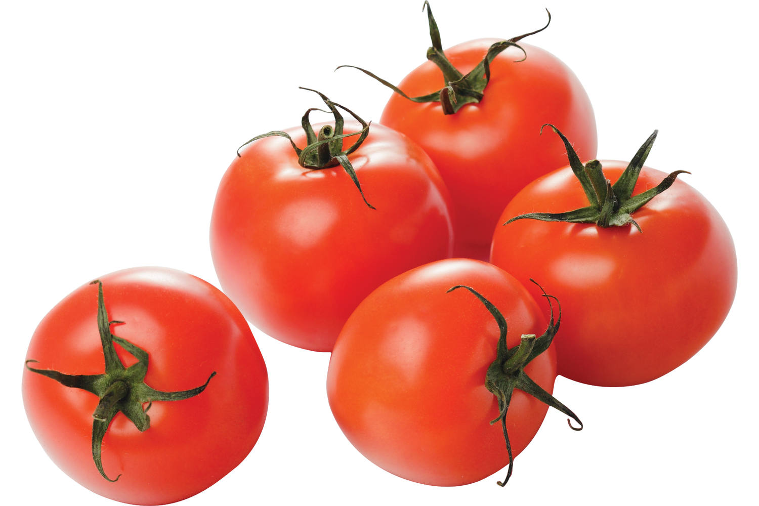 Tomate 57/67 BE 6KG BIO